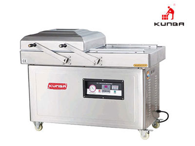 Double Vacuum Sealing Machine Price DZ-600/2SB